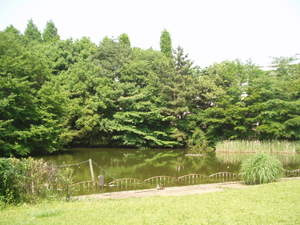春の風公園の画像1