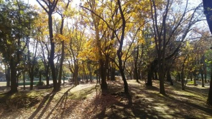 滝山公園の画像1