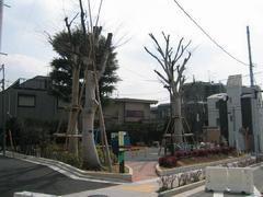 経堂けやき公園の画像1