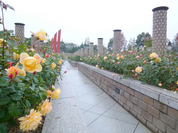 荒牧バラ公園の画像3