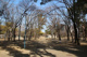 平野白鷺公園の画像