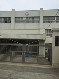 根来小学校の画像2