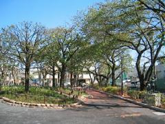 葭根公園の画像1