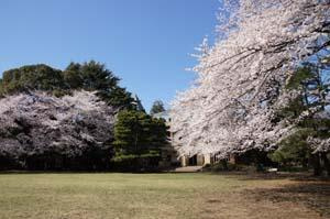 駒場公園の画像1