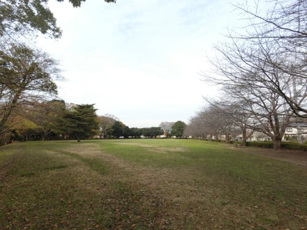 国分寺中央公園
