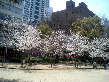 新町北公園の画像1