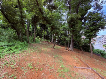 成増五丁目公園の画像2