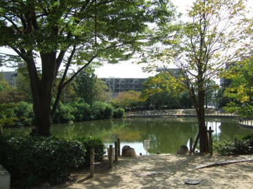樋之池公園の画像1