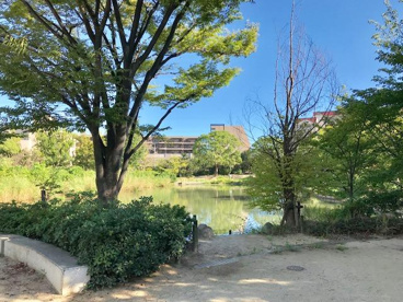 樋之池公園の画像2