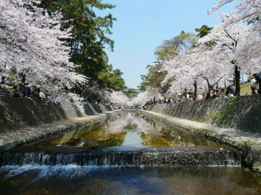 夙川公園の画像1