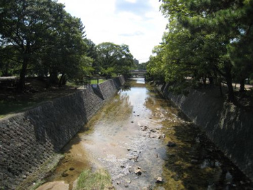 夙川公園の画像3