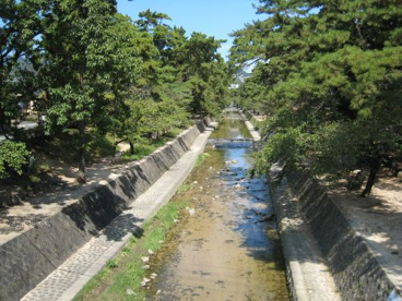 夙川公園の画像4