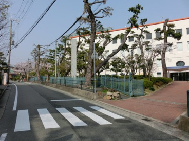 大手前大学の画像3