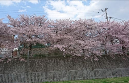  皿池公園の画像1