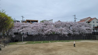  皿池公園の画像2