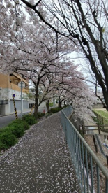  皿池公園の画像4