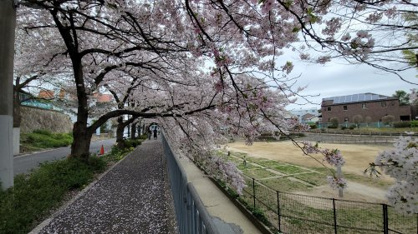  皿池公園の画像5
