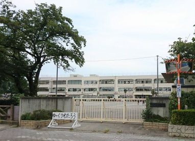 国立市立第六小学校の画像1