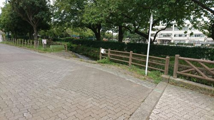 国立市立第六小学校の画像2