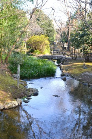 源兵衛川の画像4