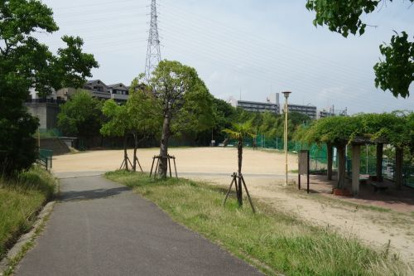 道正台公園の画像1
