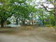 田柄中央児童公園の画像