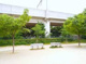 長池公園の画像