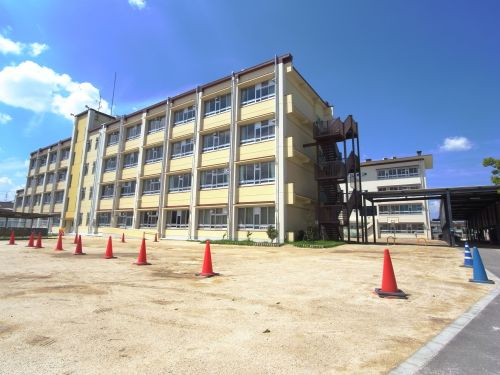 の画像
