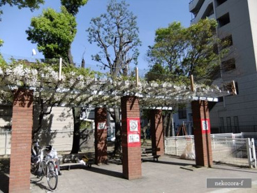 玉川南公園の画像1