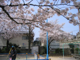 大野町公園