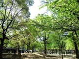 鷺洲上公園