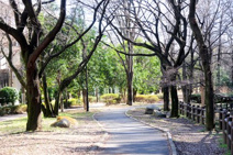 都立赤塚公園 大門地区
