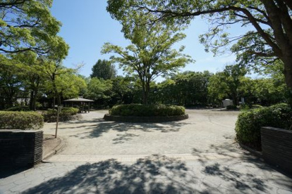 君塚中央公園の画像1