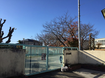 八下西小学校の画像1