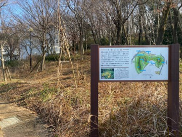都立浅間山公園の画像3