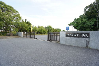市原市立若葉小学校の画像1