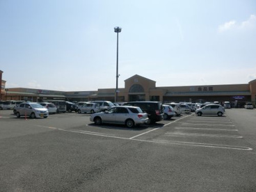 フジグラン野市の画像1