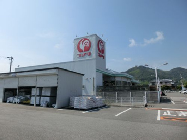 コメリハード ＆ グリーン 野市店の画像1