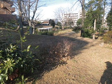 土橋原台公園の画像1