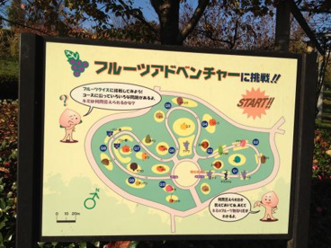 笛吹川フルーツ公園の画像2
