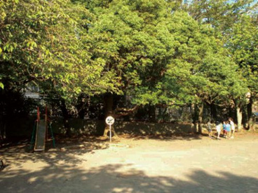 高山さくら公園の画像1