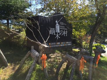 萌木の村の画像1