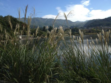 千代田湖の画像2