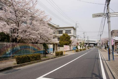 大山崎小学校の画像1
