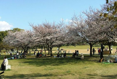 大仙公園の画像2