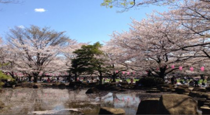 蕨市民公園の画像1