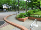 常盤台公園の画像