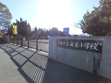 市原市立若葉小学校の画像1