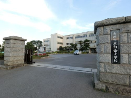 市原市立白金小学校