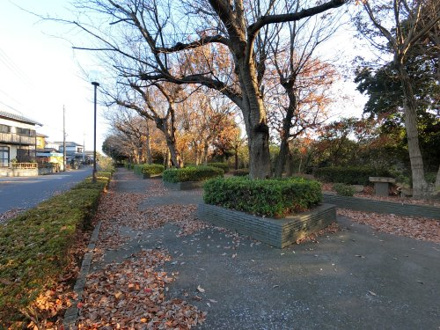 北五井緑道